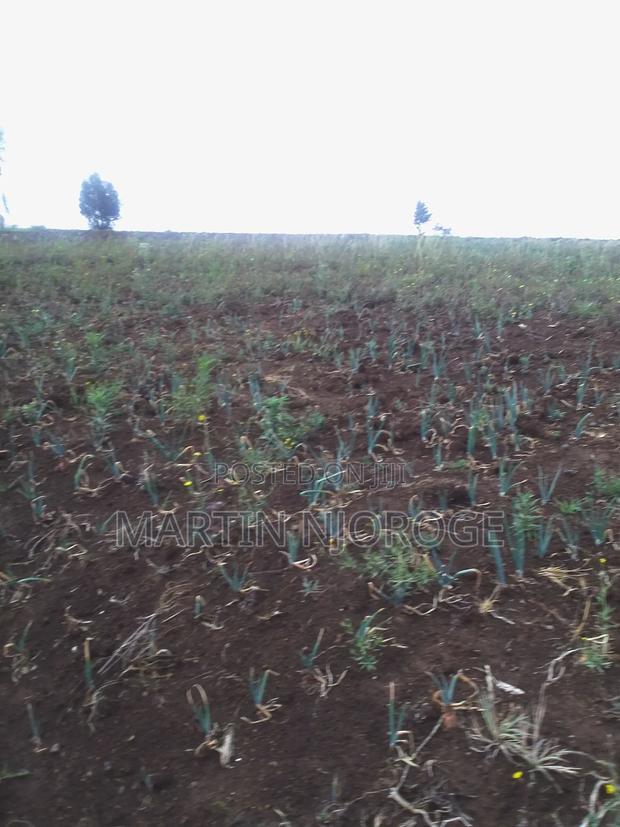 1 Acre Longonot - thumbnail 3