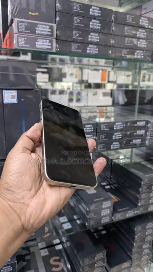 Apple iPhone 15 Pro Max 256 GB Gray