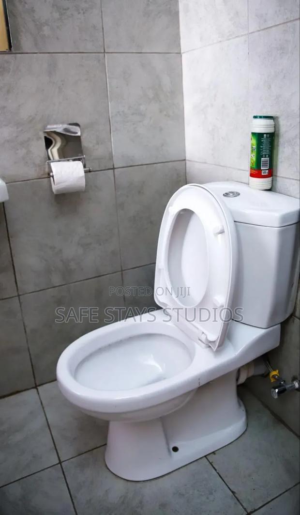 Furnished Studio Apartment in Tsavo Fedha for rent - thumbnail 6
