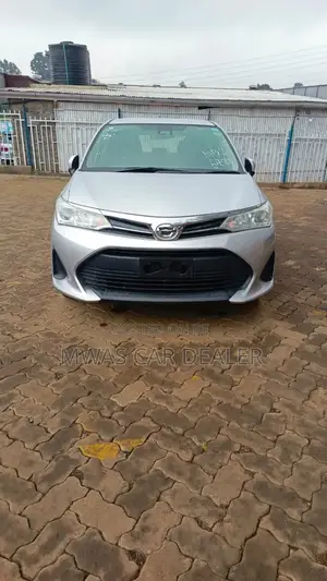 Toyota Corolla Fielder 2019 Silver