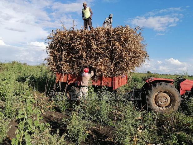 A Tractor Mf165 - thumbnail 3