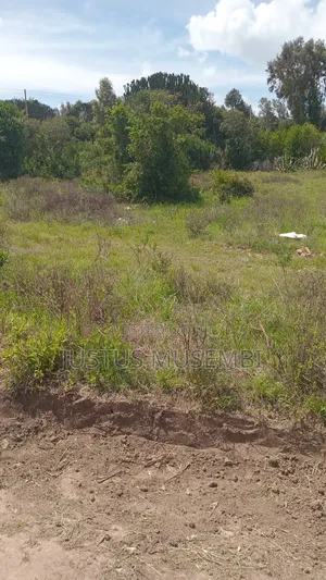 Kitanga Mua Plots for Sale
