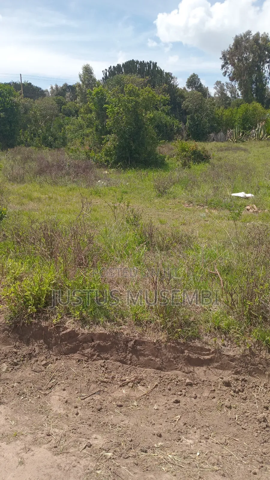 Kitanga Mua Plots for Sale