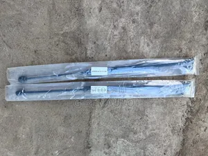 Mazda Atenza Boot Shocks.