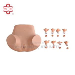 Gynecological Training Model