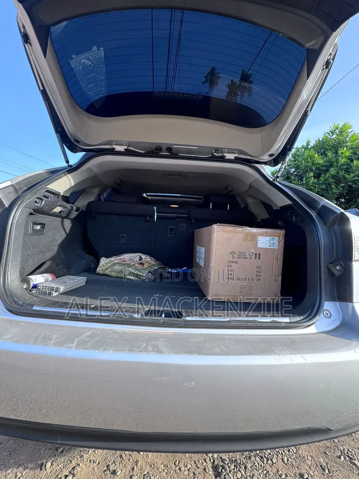 Lexus RX 2009 Silver