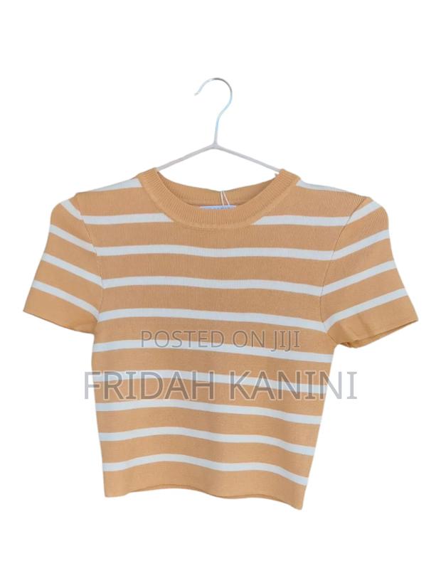 Short Sleeve Crop Top - thumbnail 8
