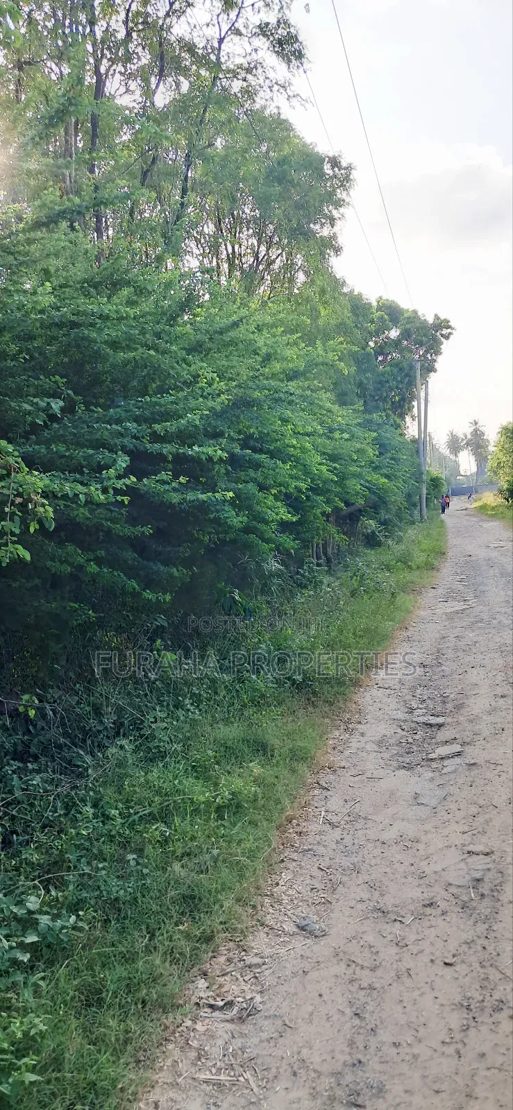 For Sale Quater Acre Plot Kikambala