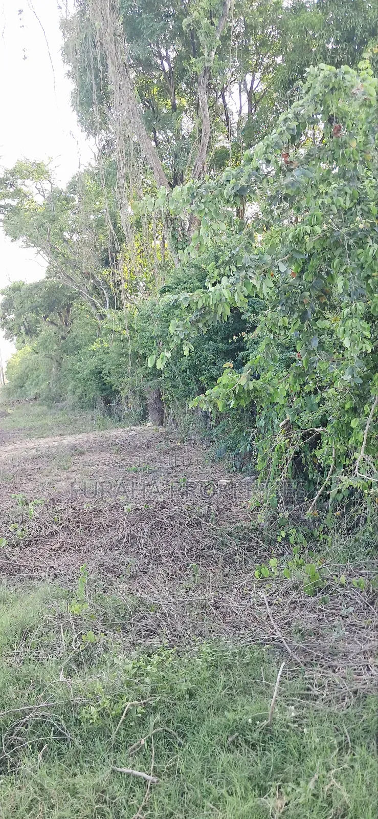 For Sale Quater Acre Plot Kikambala