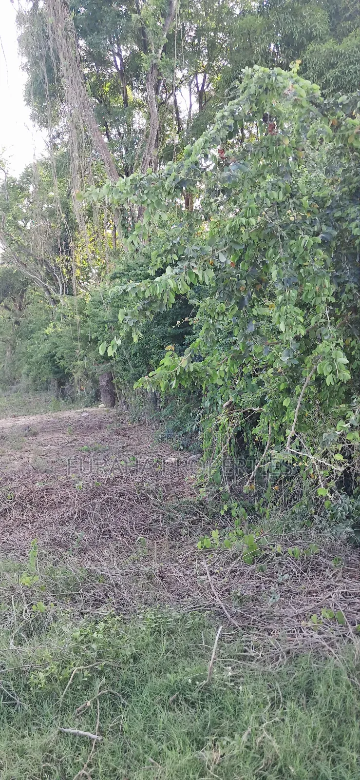 For Sale Quater Acre Plot Kikambala