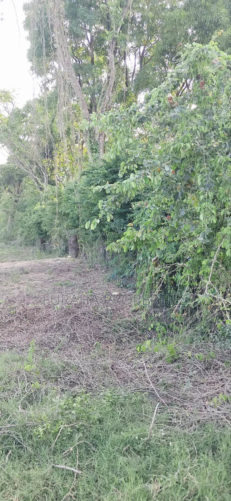 For Sale Quater Acre Plot Kikambala