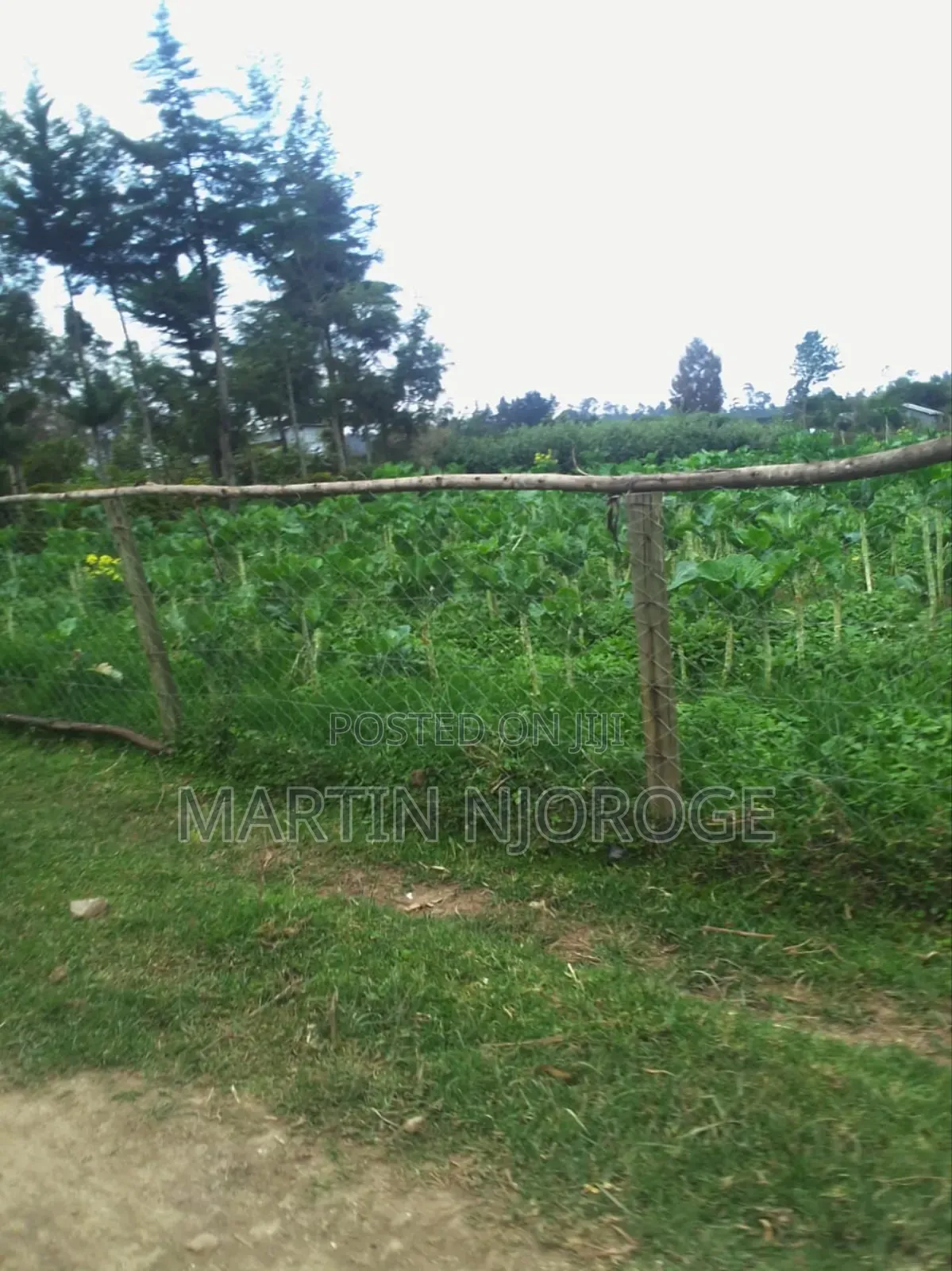 3 Acres Undiri, Kikuyu