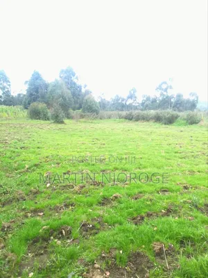 3 Acres Undiri, Kikuyu