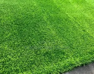 Premium Turf Roll With Natural Feel