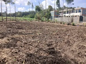 Prime Quarter Acre for Sale in Ngong, Matasia