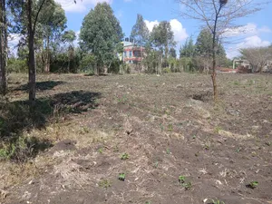 A Full Acre Piece of Prime Land for Sale in Merisho, Matasia
