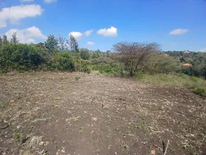 Prime 1/8 Acre Plots for Sale in Merisho, Matasia Near Tarmac