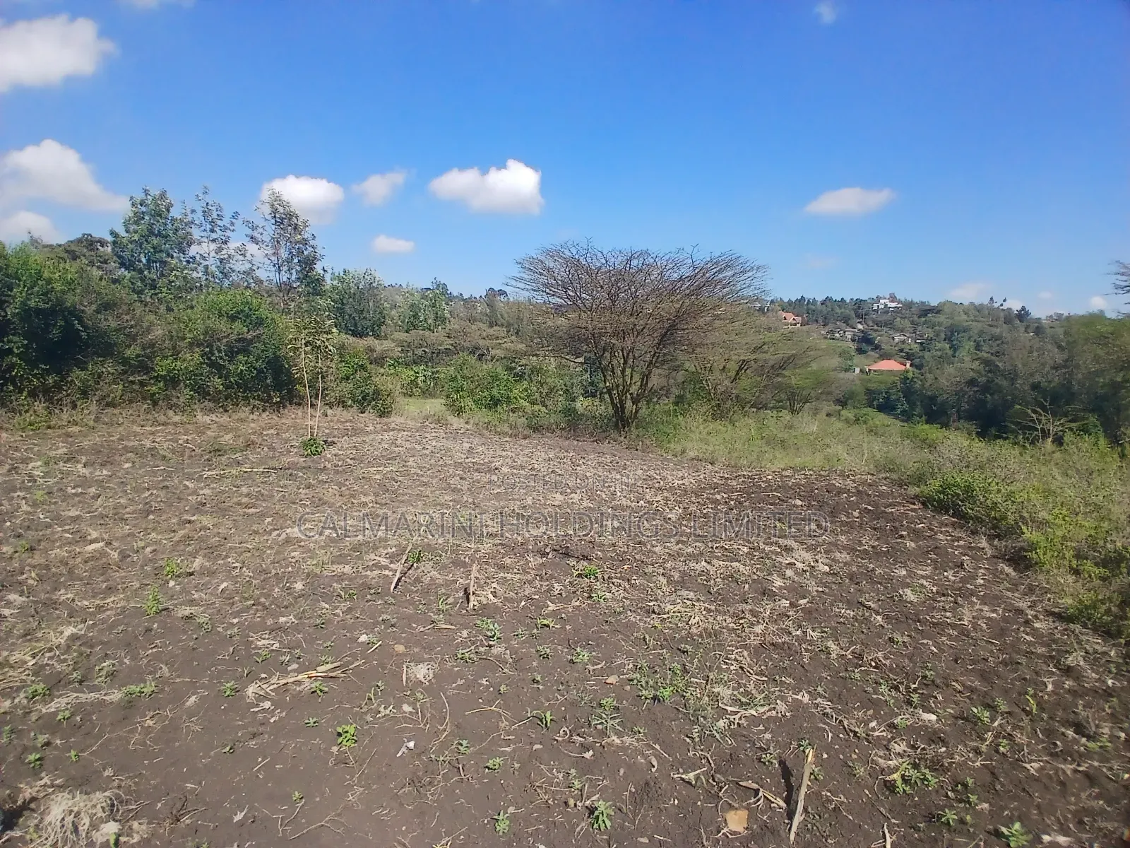 Prime 1/8 Acre Plots for Sale in Merisho, Matasia Near Tarmac