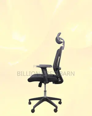 Mesh Work Chair With Lumbar Support | Built for Everyday Use
