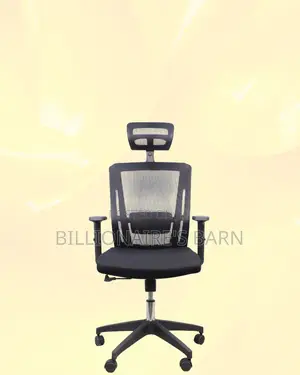 Mesh Work Chair With Lumbar Support | Built for Everyday Use