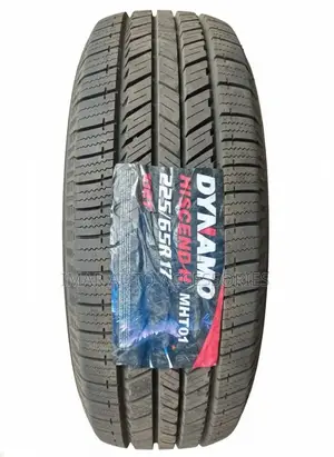 225/65r17 Dynamo Hiscend H Tyres | Smooth, Stable Durable