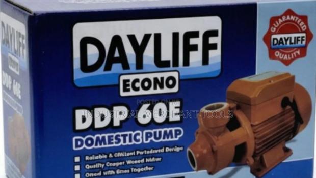 Domestic 0.5hp Dayliff Booster Pump