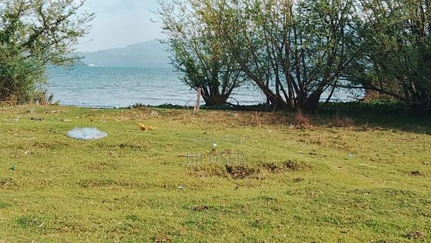 Beach Plot in Rusinga Island One Acre - thumbnail 5