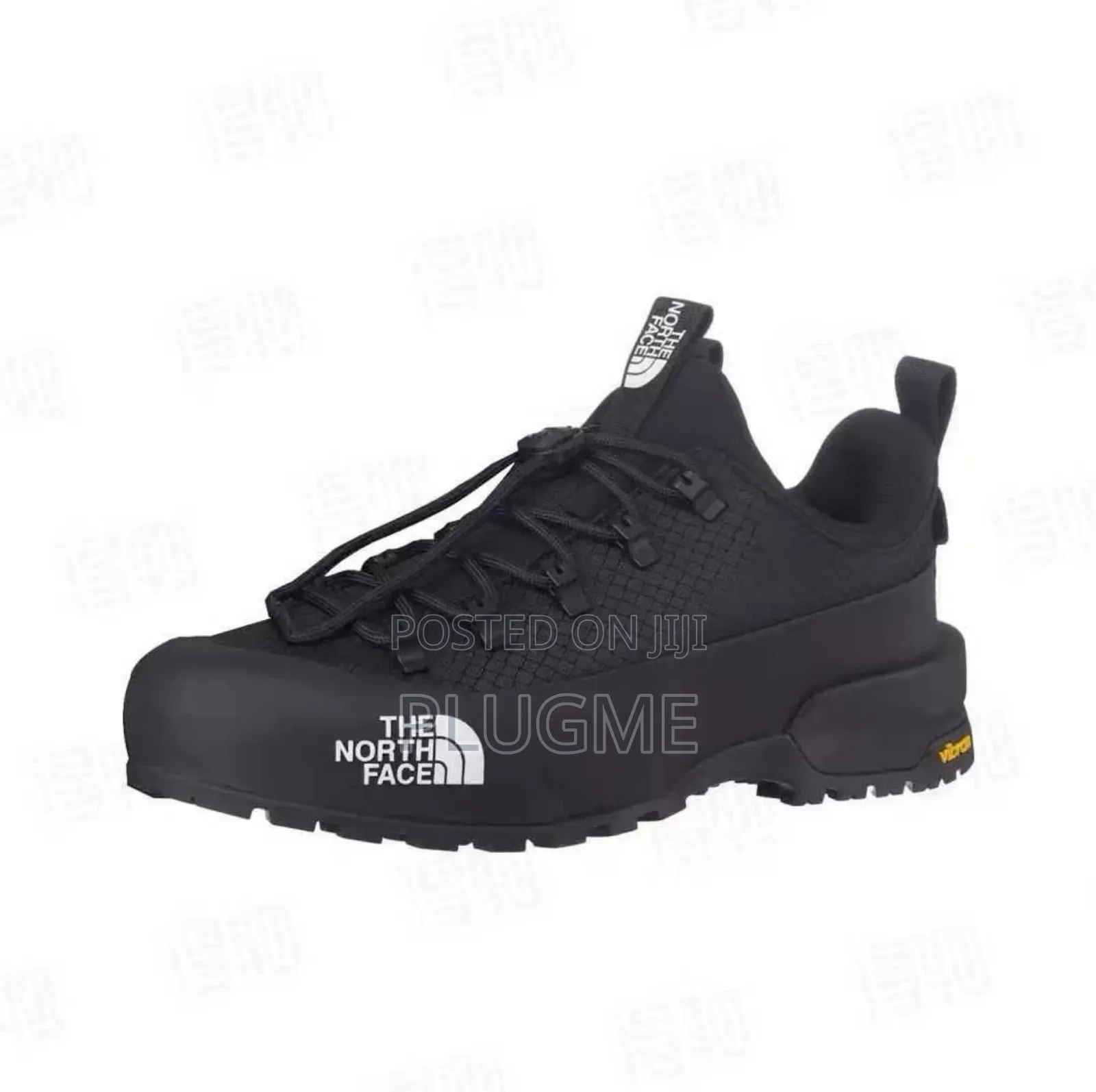 Northface Low Cut Sneakers