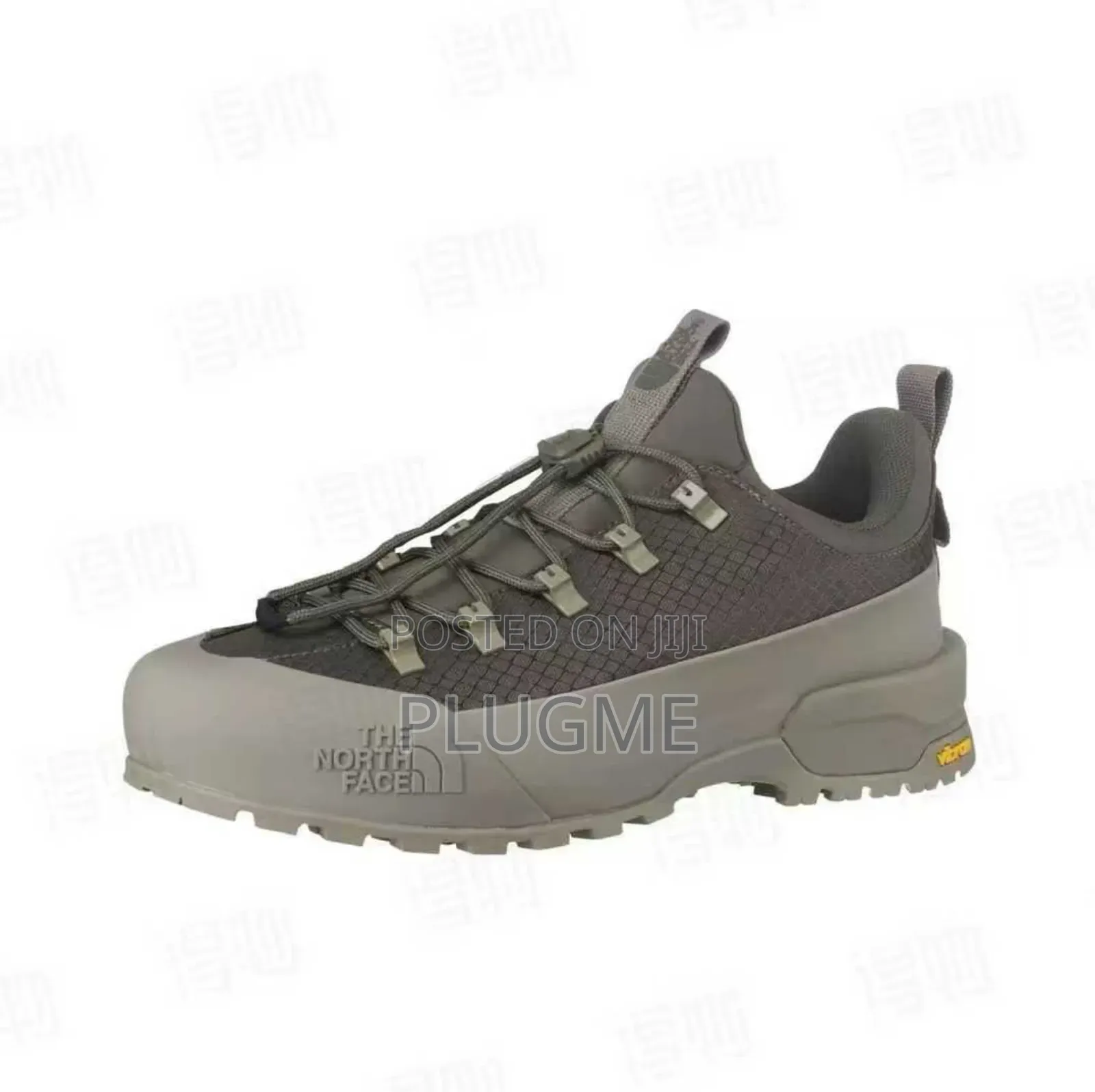 Northface Low Cut Sneakers