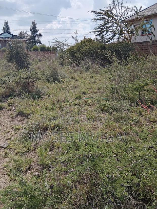 1/4 Acre for Sale Milimani Kitengela - thumbnail 4