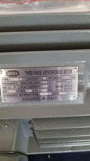 30hp Low Speed Motor (Stcl Brand)