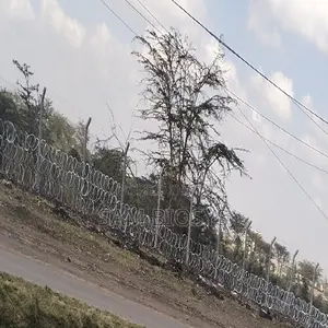 Razor Wire 450mm