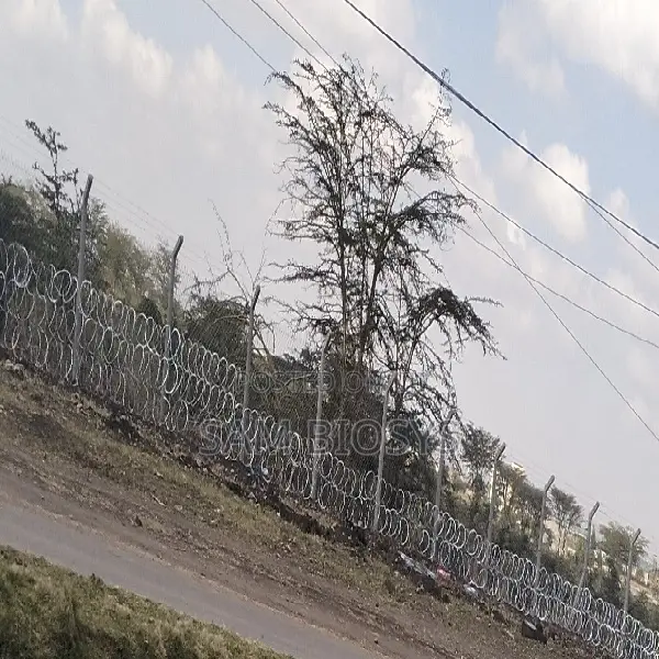Razor Wire 450mm