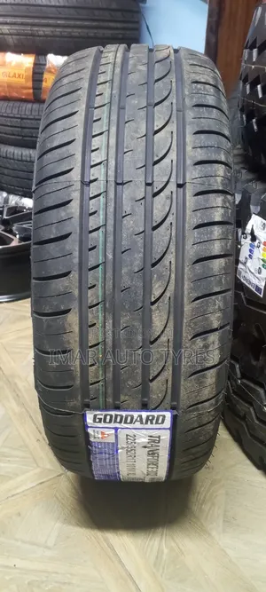 225/55r17 Goddard