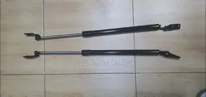 Corolla Ae96 Boot Shocks.