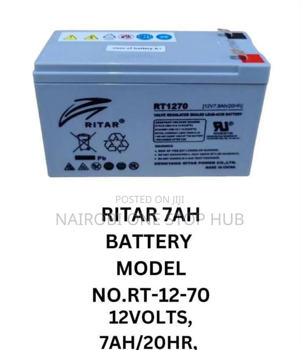 Ritar Lead-Acid Battery.