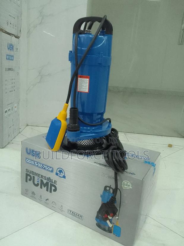 Usk 1hp Submersible Pump With Float Switch