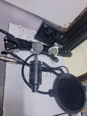 Live Sound Card With Microphone