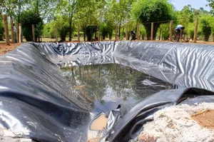 Pond Liner/Dam Liner