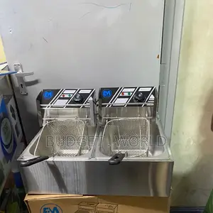 Adjustable Temp Deep Fryer 12l Countertop Stainless Steel Dual Tank