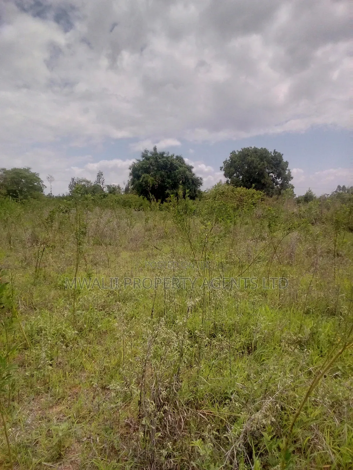 3/4 of an Acre, Matinyani,Kitui