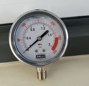 Pressure Gauge 2mpa 2.5"