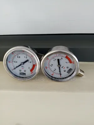 Pressure Gauge 2mpa 2.5"