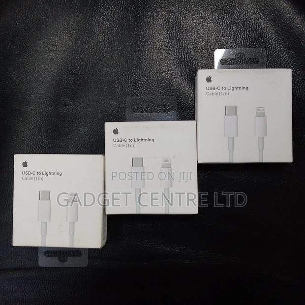 Original Type C to Lighting Cables - main view