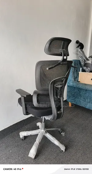 Ergonomic High Back, C. E. O Orthopedic Office Chair