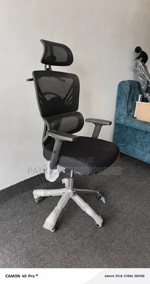 Ergonomic High Back, C. E. O Orthopedic Office Chair