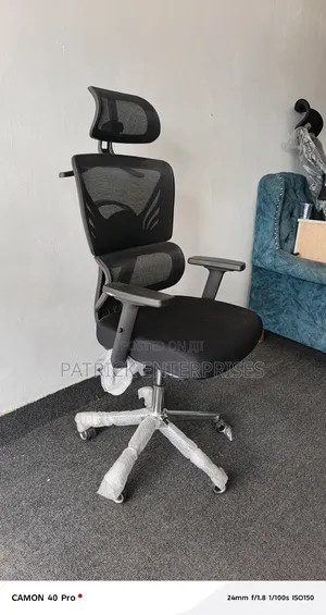 Ergonomic High Back, C. E. O Orthopedic Office Chair