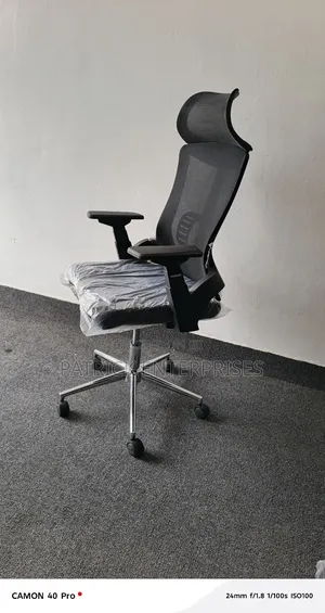 Ergonomic High Back Orthopedic Office Chair