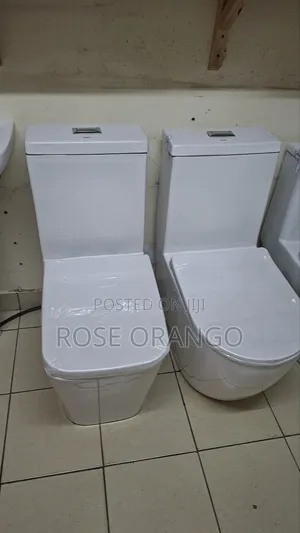 New Design Toilet