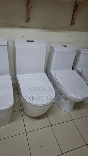 Executive Toilet S Trap Available